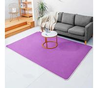 Heated Floor Mat for Foot, Graphene Electric Heating Carpet Heated Area Rugs, Coral Fleece Electric Heating Pads Foot Warmer Floor Heater Under Desk(Purple,200x250cm)