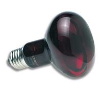 Heated infrared terrarium lamp Zoomed RS100