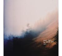 Heated Land - Forest Tapes [VINYL]