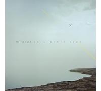 Heated Land - In a Wider Tone [VINYL]