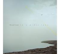 Heated Land In a Wider Tone (Vinyl)
