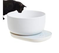 Heated Pet Bowl - USB Heating Quiet | Intelligent Feeder Heating Cat Dog Indoor Home Living Room Bedroom Comfort
