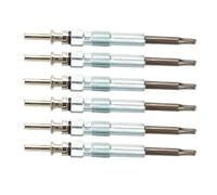 Heater Glow Plug Compatible With BMW For 3 5 7 Series For X3 X5 Car Auxiliary Diesel Heater Glow Plug Metal 0250402002 12237786869(6PCS)