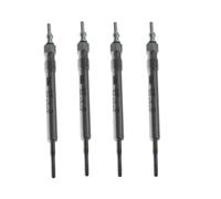Heater Glow Plugs For Seat For Exeo St For Toledo III 5P2 3R5 2005 2006 2007 2008 2009 0250403009 Car Glow Plug Diesel Repair