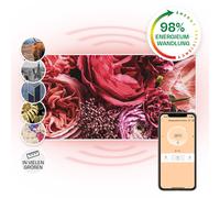 Heater Space Infrared Heating Panel Wall Mount Indoor Thermostat 120x 60cm 700W