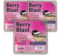Heath Berry Blast Suet Cakes Sample Pack, Contains 3 Suet Cakes, Try It, Your Birds Will Love it, for Woodpeckers, Cardinals, Siskins, Sparrows, Finchs & Many More Wild Bird Species
