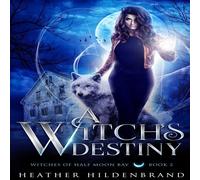 Heather Hildenbrand A Witch's Destiny Paperback Book Heather Hildenbrand Multicolor