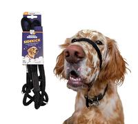 Heather's Heroes no pull training leash