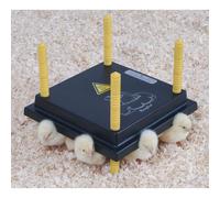 Heating panel for chicks Chick'A