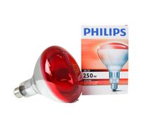 Heatlamp I/Red Bulb Philips Red - Phillips - Size: 250w