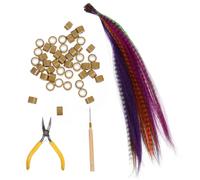 HEATSHAKING 50Pcs Synthetic Hair Extension Kit with Pliers Crochet Hook and Micro Rings Colored Plumage Hair Pieces and Extension Application Suitable for Professional and Random Color