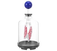 HEATSHAKING Air Pressure Breathing Model with Detailed Lung Anatomy and Realistic Diaphragm Movement, Plastic Lung Function Display for Classroom Science Kit and Research Institutions