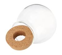 HEATSHAKING Creative for Fresh Flowers and Home Decoration Small round Glass Terrarium Vase for Hydroponic Plant Planter with Wood Lid, Glass Hydroponic Planter on Windowsill or Bedroom