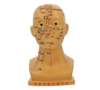 HEATSHAKING High Definition Human Head Acupuncture Model Medical Head Acupoint Model for Facial Massage and Acupuncture Practice Durable Material Acupoint Fonts for Beginners