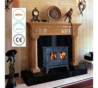 Heatsure Cast Iron Woodburning Multifuel Stove Fireplace Heat Warm Indoor 10Kw