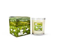 Heaven Scent 20cl Illustrated Candle - Aloe & Straw (Sheep)