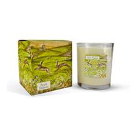 Heaven Scent 20cl Illustrated Candle - Apple Blossom (Dancing Hares)