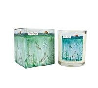 Heaven Scent 20cl Illustrated Candle - Sea Sage (Diving Seals)