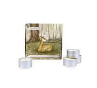Heaven Scent Box of 9 Tea Lights - Winter Walks