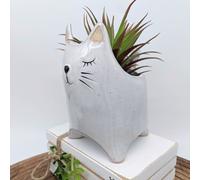 Heaven Sends Ceramic Cat Shaped Plant Pot Indoor Outdoor Decorative Flower Planter For Succulents Cactus And Small Plants