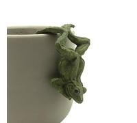 Heaven Sends Ceramic Frog hanging Pot Ormament, BUR053