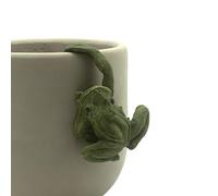 Heaven Sends Ceramic Frog hanging Pot Ormament green