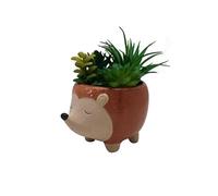 Heaven Sends Ceramic Planter 19x11.5x15cm Hedgehog Design