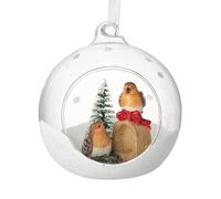 Heaven Sends Glass Dome Bauble with Robins Christmas Tree Decoration