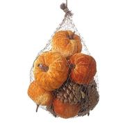Heaven Sends Halloween Pumpkin and Pinecone Decoration Mix