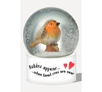 Heaven Sends Large Robins Appear When Loved Ones Are Near Snow Globe Heaven Sends Multicolor