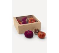 Heaven Sends Maroon & Rustic Orange Pinecone & Plush Pumpkin Ornaments Heaven Sends Multicolor