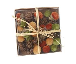 Heaven Sends Multicoloured Acorn and Pinecone Mixed Set Autumnal Decorations