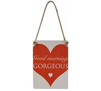 Heaven Sends Valentine Good Morning Gorgeous Mini Metal Dangler Sign Plaque 90mm x 65mm