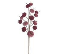 Heaven Sends Velvet Pumpkin Deep Red Stem