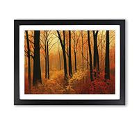 Heavenly Autumn Forest Framed Print | A2 Black Framed Wall Art | Ready to Hang | Modern Landscape Picture | Living Room Bedroom Lounge Office