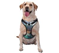 Heaven's Gate Premium Dog Harness for Small, Medium, and Large Dogs - Durable, No Pull with Reflective Straps and Quick Release BucklesSmall