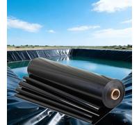 Heavy Du Black Pond Liner 3x4m 4x6m 5x8m 8x10m 10x12m Memb for Fish Ponds Waterfalls & Garden Features Easy to Cut & S (3x6m 9.8x19.7ft)