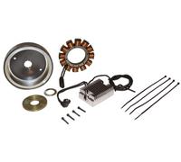 Heavy Duty 32 Amp Alternator Charging System w/HD One-Piece Rotor for 1970-1984 Harley Shovelhead & 1984-1999 EVO Big Twin Motor (Except Twin Cam & EFI Models) Chopper Bobber