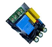 Heavy Duty 6600W Amplifiers Protections Board Prevents Startup Surges AC100 250V Easy Two Terminals Installation PCB Protections Board