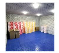 Heavy-Duty Blue Plastic Pallet - 997.9 kg/m² Polyethylene Warehouse Cushion Moisture-Proof with Breathable Ventilation Grid Dimensions 80 x 80 x 3 cm Ideal for Storage Solutions