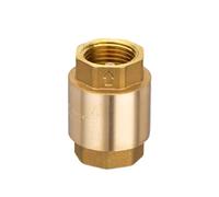 Heavy Duty Brass Check 6 Inch Vertical Installation Leak Prevention for Water Systems Multiple Pipe Connection Anti Backflow Check Valves