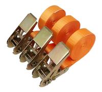 Heavy-Duty Cam Buckle Straps with Hooks for Secure Cargo and Freight Tie-Down