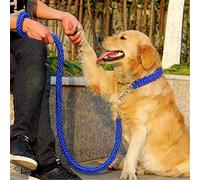 Heavy Duty Dog Leash, Adjustable Dog Martingale Braided Collar, Loop Slip Strong Metal Pull Clip Anti-Twist Pet Walking Training Lead, Solid Hand Crafted Rope for Medium Large Breeds (XL, Blue)