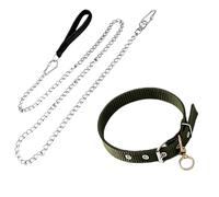 Heavy Duty Dog Leash & Collar Set, 4.9 Ft Stainless Steel Chain, Nylon Collar for Small to Medium Dogs Up to 40 Lbs, Silver and Green