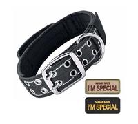Heavy Duty Double Buckle Tactical Dog Collar - Military Grade Dog Collar with Handle for Medium and Large Dogs(Black Collar,StyleL)