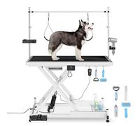 Heavy Duty Electric Lifting Pet Dog Grooming Table for Large Dogs with Overhead Arm, Anti-Skid Rubber Desktop and Powerful Motor, 50'' / White
