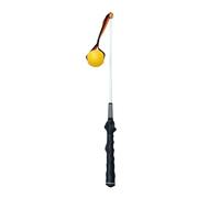 Heavy Duty Flirt Pole for Dogs, Puppy Catcher Pole Heavy Duty, Interactive Puppy Tug of War Exercise Toy, Pet Training Stick for Lawn Backyard