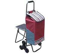 Heavy Duty Foldable Cart with Steel Bracket, 6 Wheels, 100kg Capacity, 33L, Removable Seat, Stair Climbing Wheel, Ideal for Supermarkets, Food Markets, and Picnics