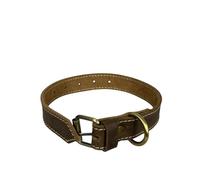 Heavy Duty Genuine Leather Dog Collar (Small)