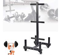 Heavy Duty Gym Dumbbell Rack Stand Holder, Movable Gym Weight Storage for Gym, Fitness, Exercise, Fat Loss, Strength, Workout